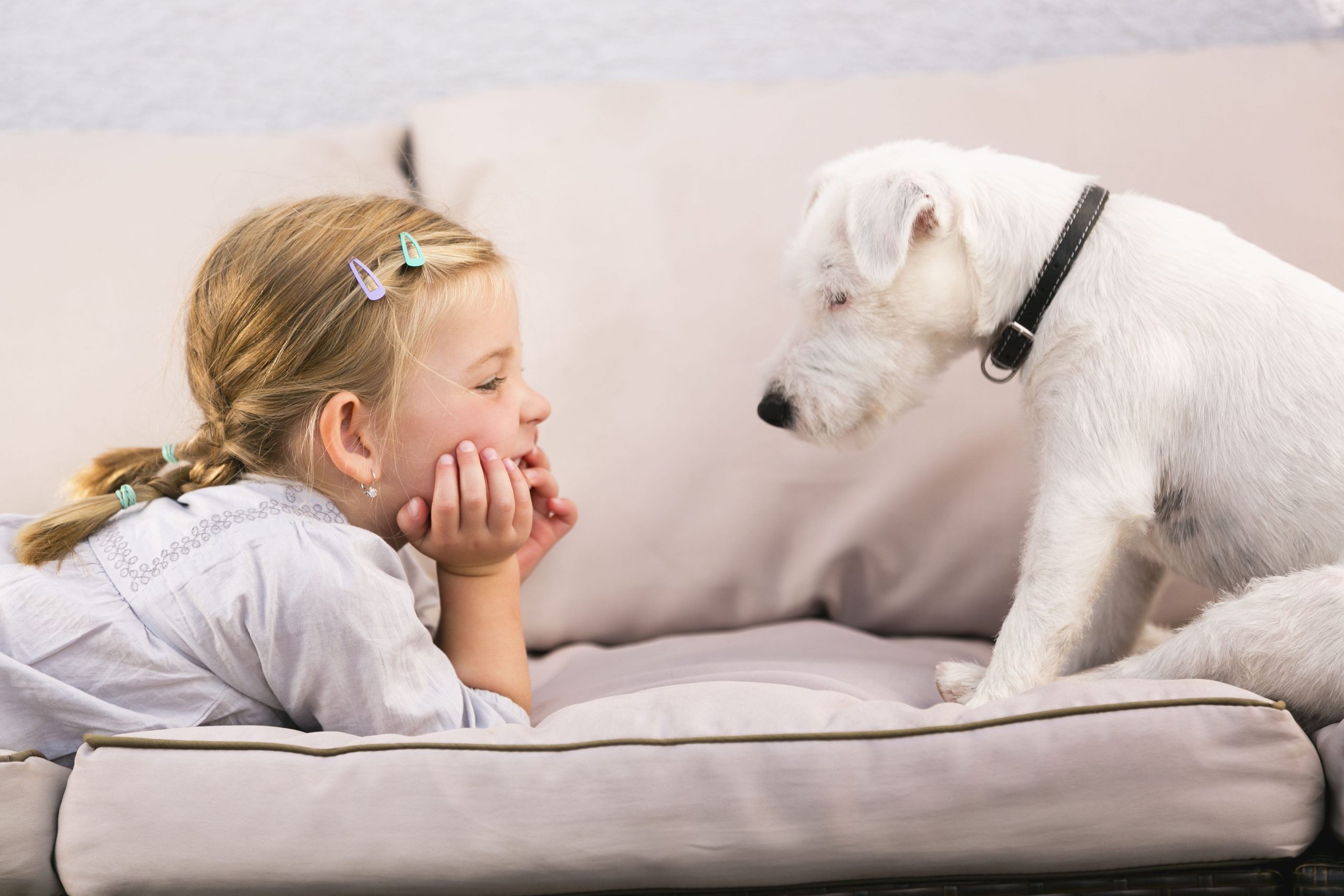 Little girl and dog looking at each other on the couch