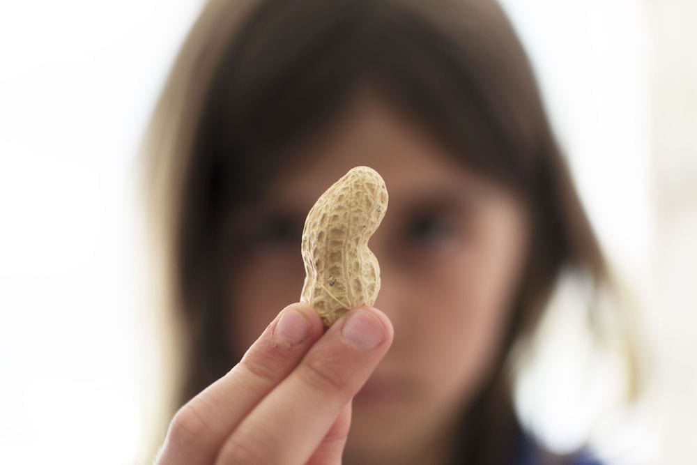 Woman looking closely at a peanut