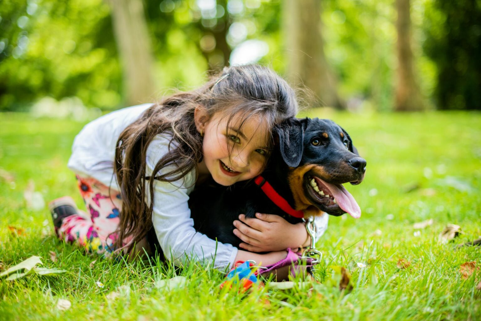 How To Help Your Child Their Pet Allergies Allergy and